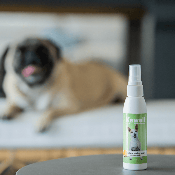 Matico Natural Healing Spray for Dogs | Kawell USA