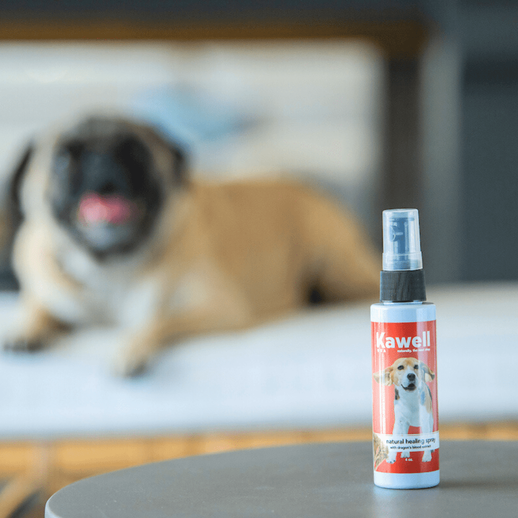 Dragon's Blood Natural Healing Spray for Dogs | Kawell USA