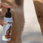 Dragon's Blood Natural Healing Spray | Kawell USA - hoverImage