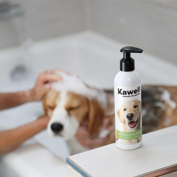 Matico Natural Healing Shampoo - Pet - 1